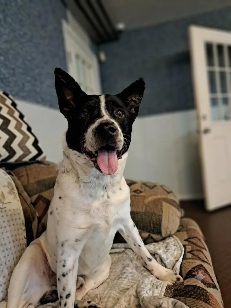 Jack