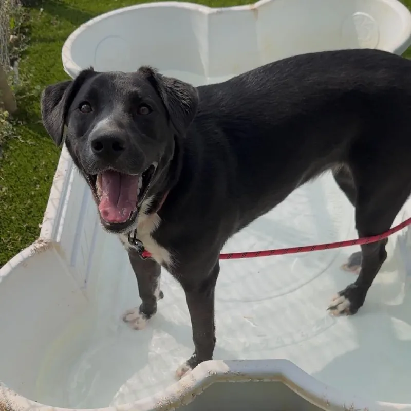 Lily Mae thumbnail 2