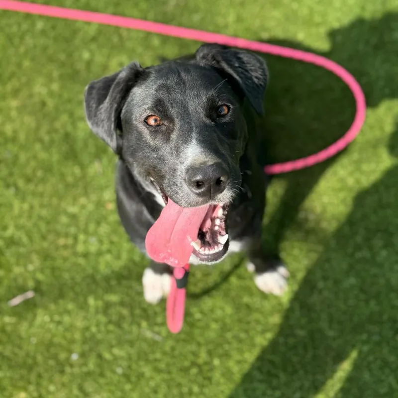 Lily Mae thumbnail 3