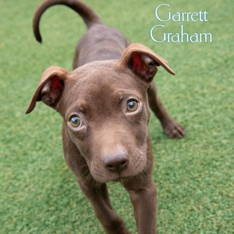 Garrett Graham thumbnail 2