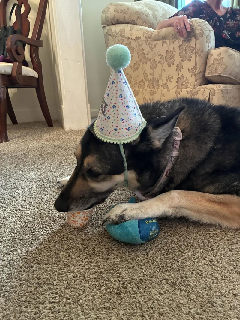 Jocie Nka Echo thumbnail 2