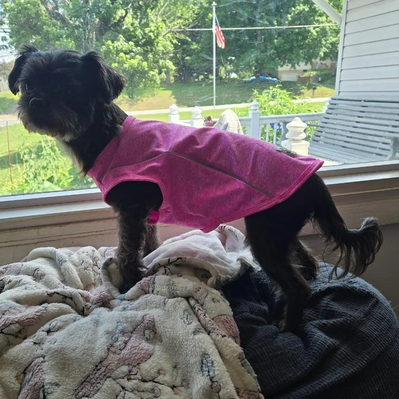 Darla thumbnail 3