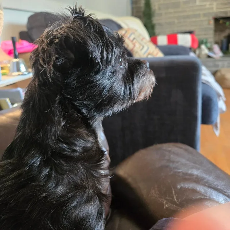 Darla thumbnail 5