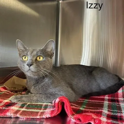 Izzy