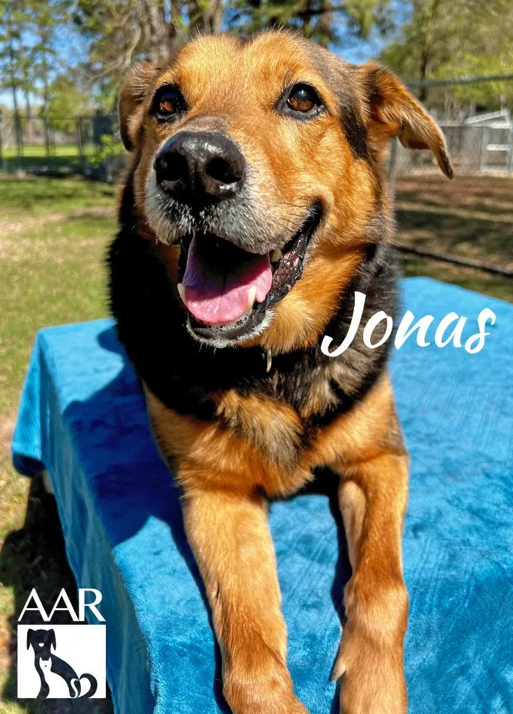 Jonas