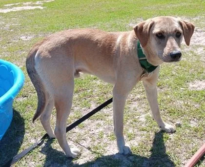 Earthquake thumbnail 2