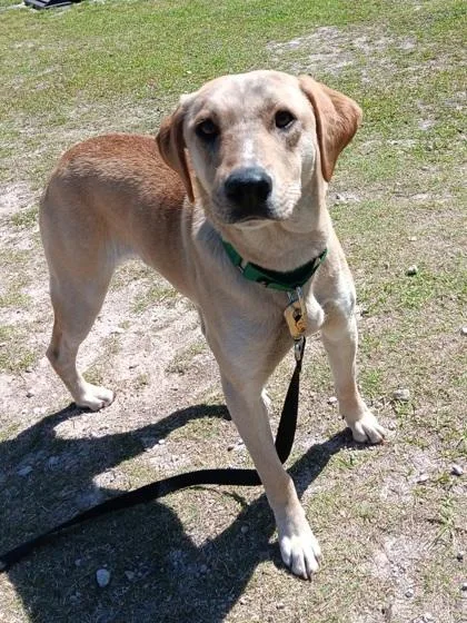 Earthquake thumbnail 3