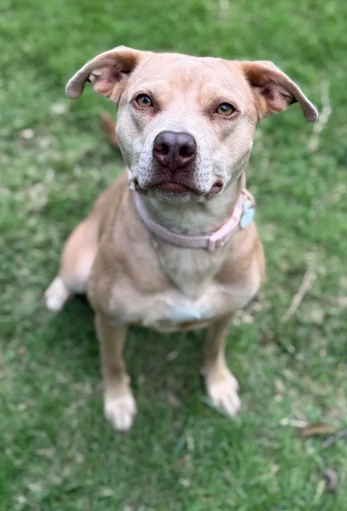 Zelda