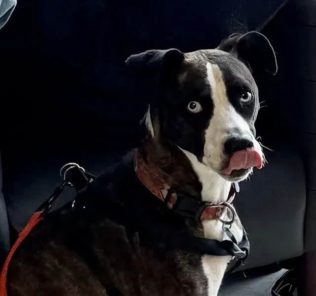 Fiona