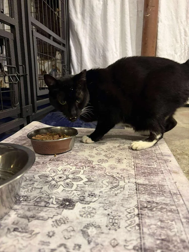 Washing Machine thumbnail 2