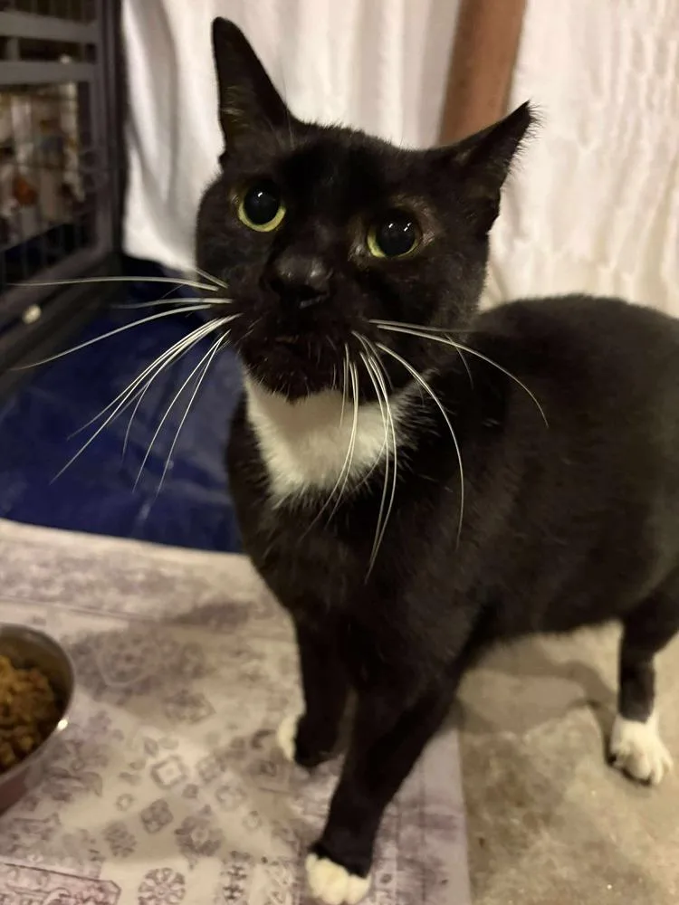 Washing Machine thumbnail 3