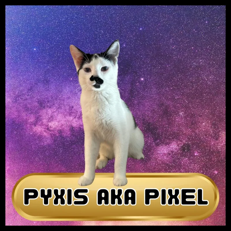 Pyxis thumbnail 2