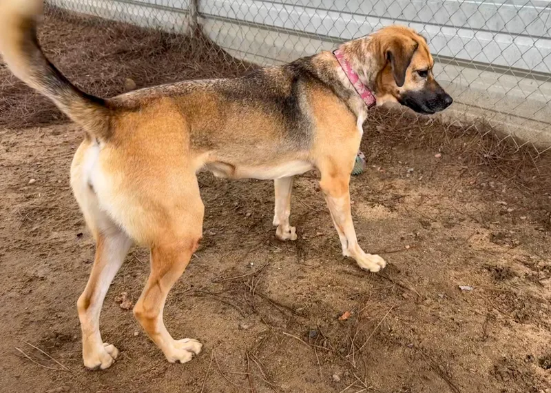 Betty White thumbnail 2