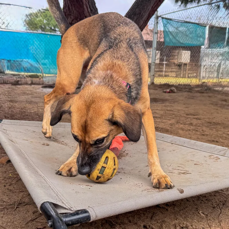 Betty White thumbnail 4