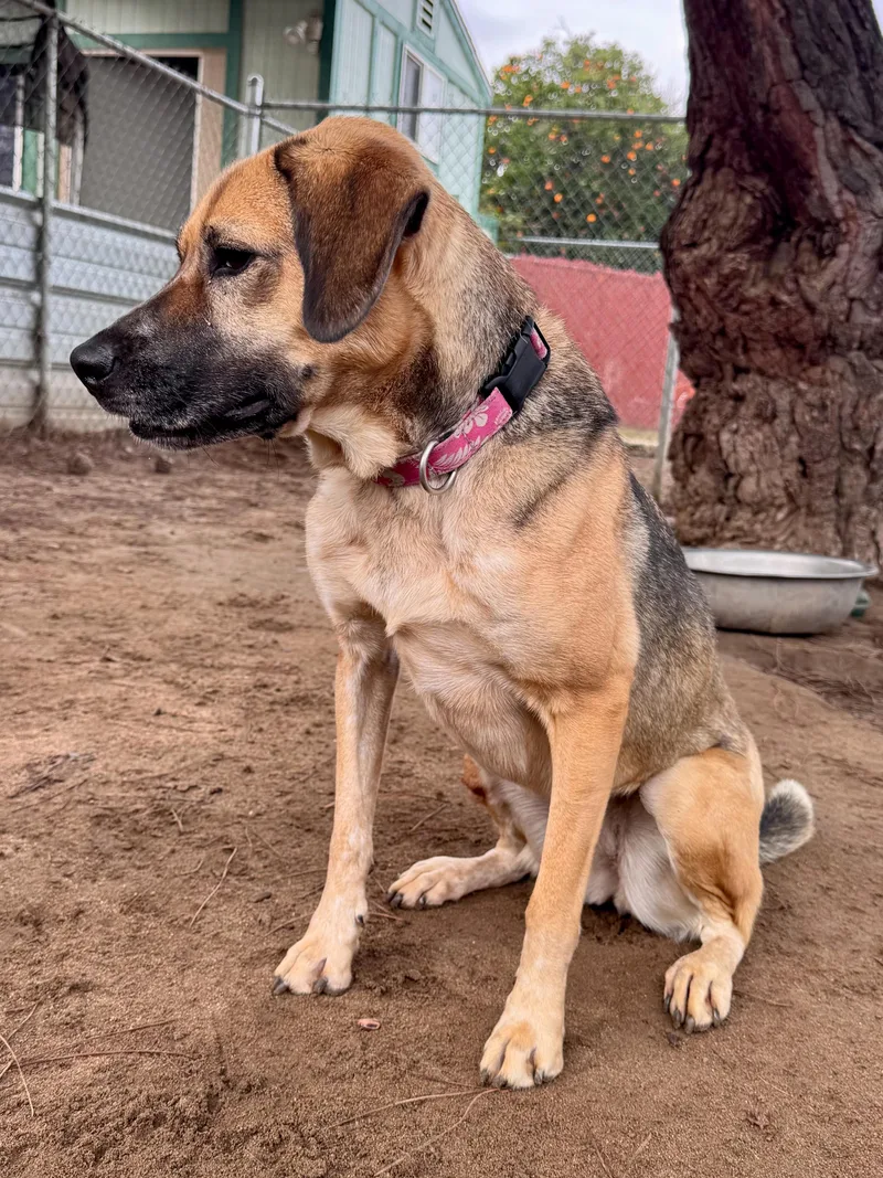 Betty White thumbnail 6