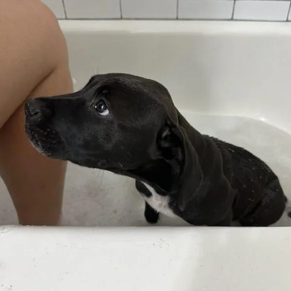 Megan thumbnail 6