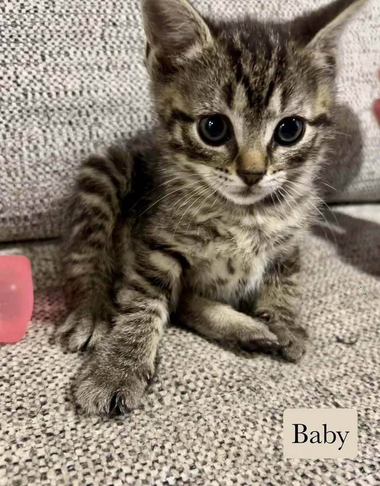 Baby thumbnail 4