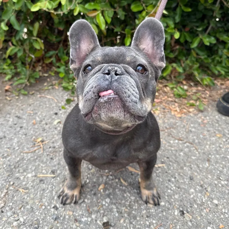 Coco