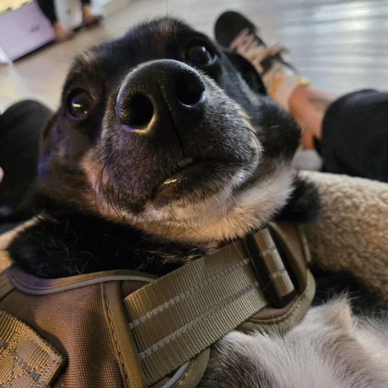 Athena Mae thumbnail 4