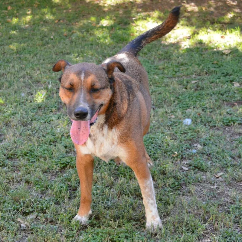 Pauly "pops" thumbnail 2