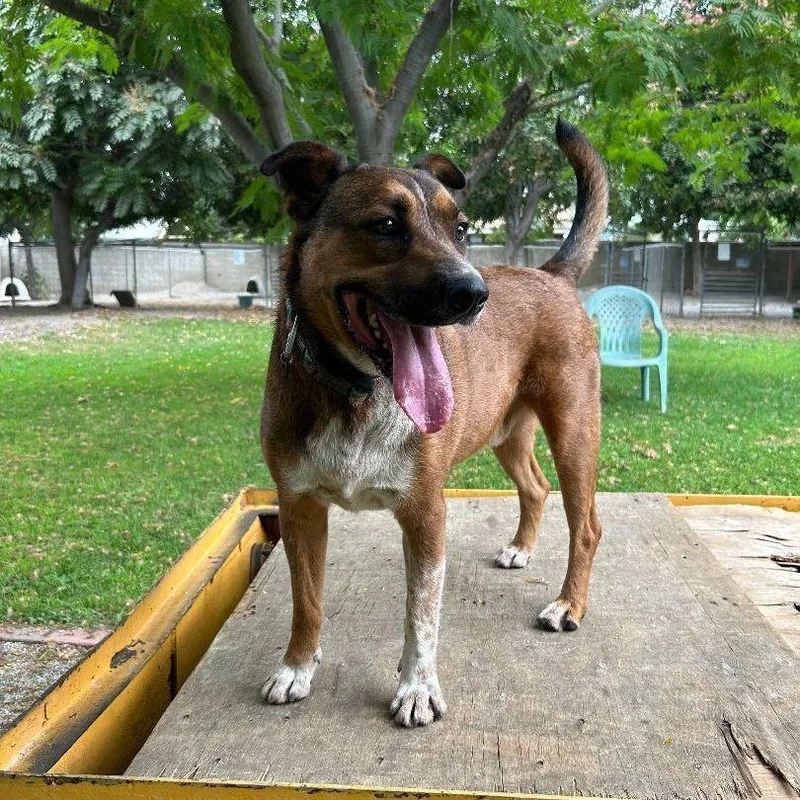 Pauly "pops" thumbnail 3