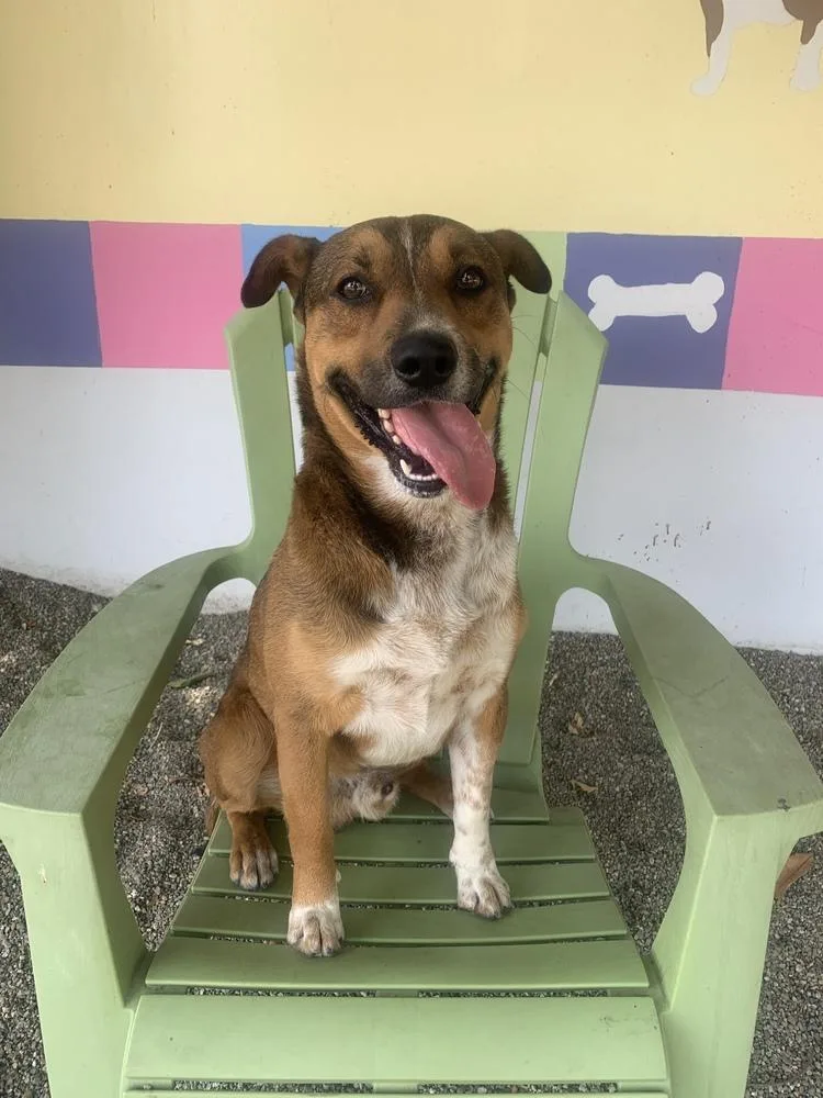 Pauly "pops" thumbnail 4