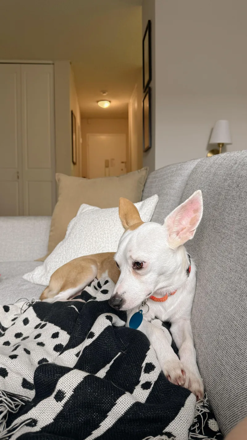 Bailey thumbnail 2