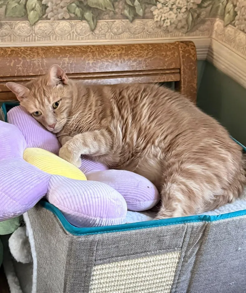 Rocky & Milo