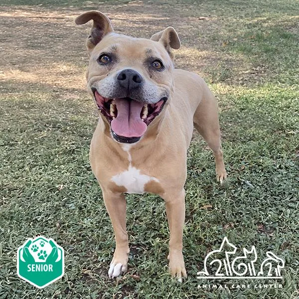 Princess thumbnail 2