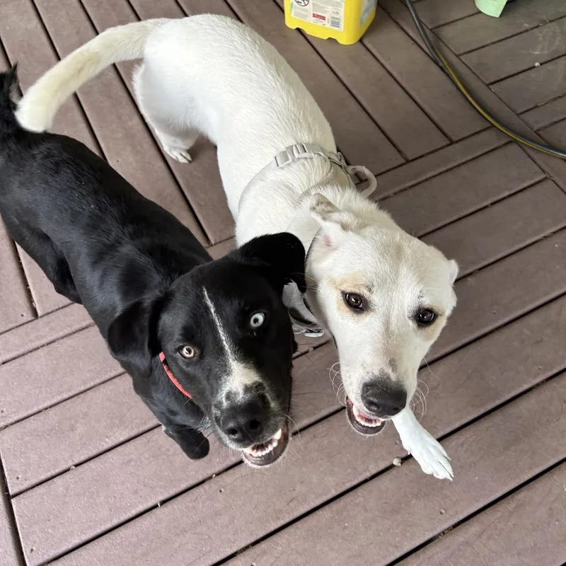 Missy Mae thumbnail 2