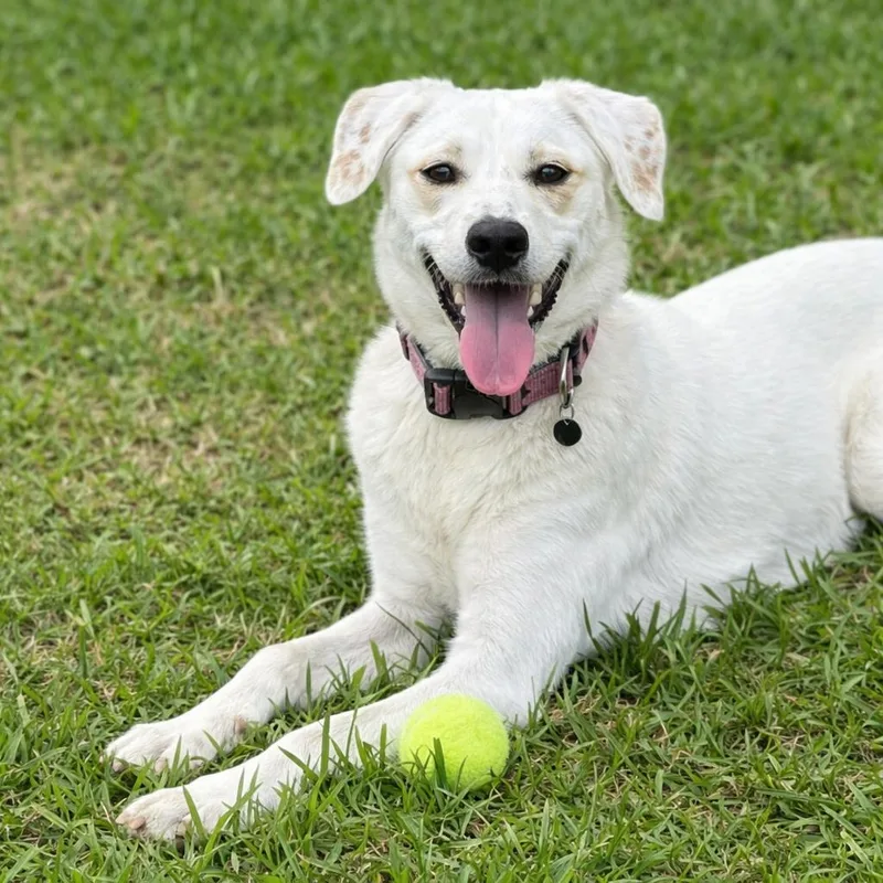 Missy Mae thumbnail 3