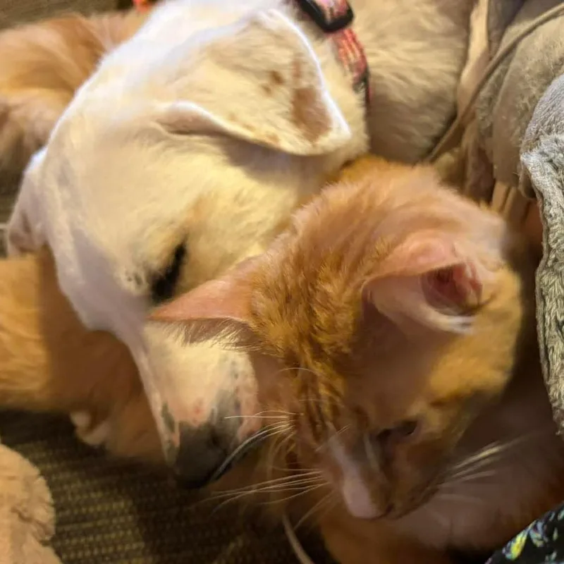 Missy Mae thumbnail 4