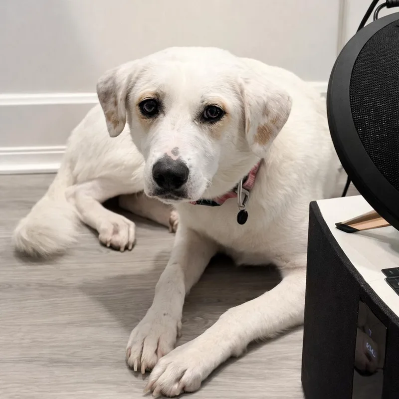 Missy Mae thumbnail 5