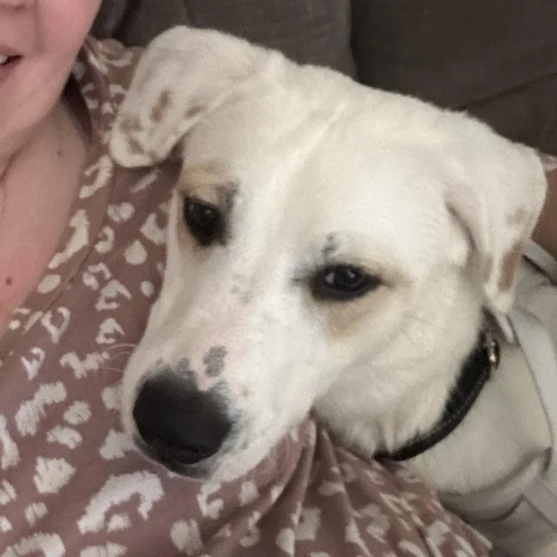 Missy Mae thumbnail 6