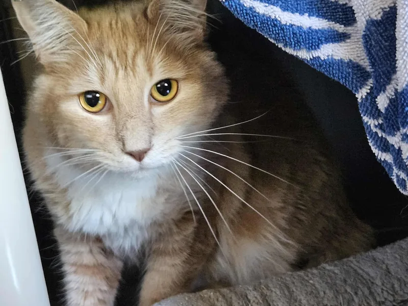 Tango & Cash thumbnail 3