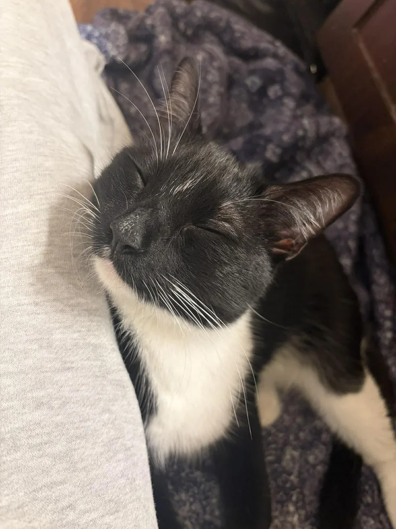 Bartholomew Ort thumbnail 2