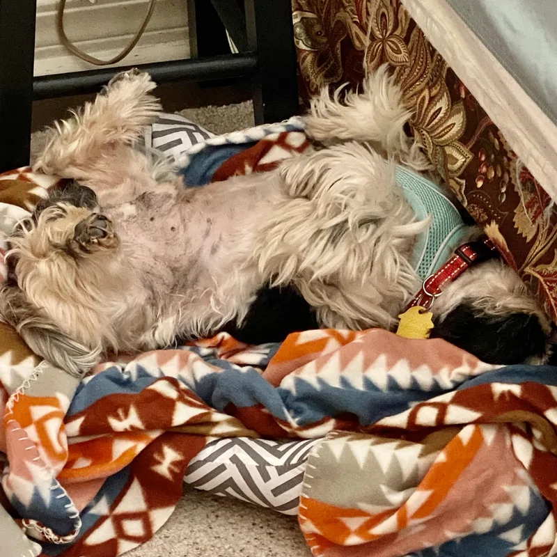 Eugene Trooper thumbnail 2