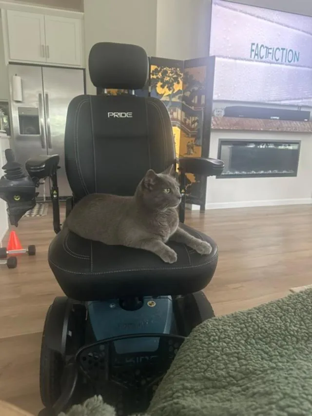 Kibbles thumbnail 3
