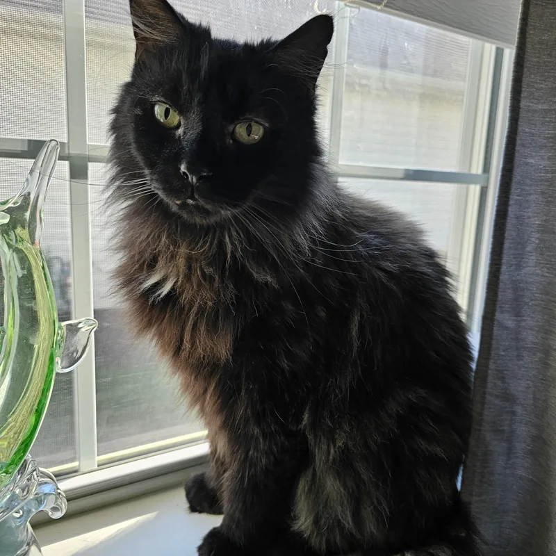 Sebastian thumbnail 6