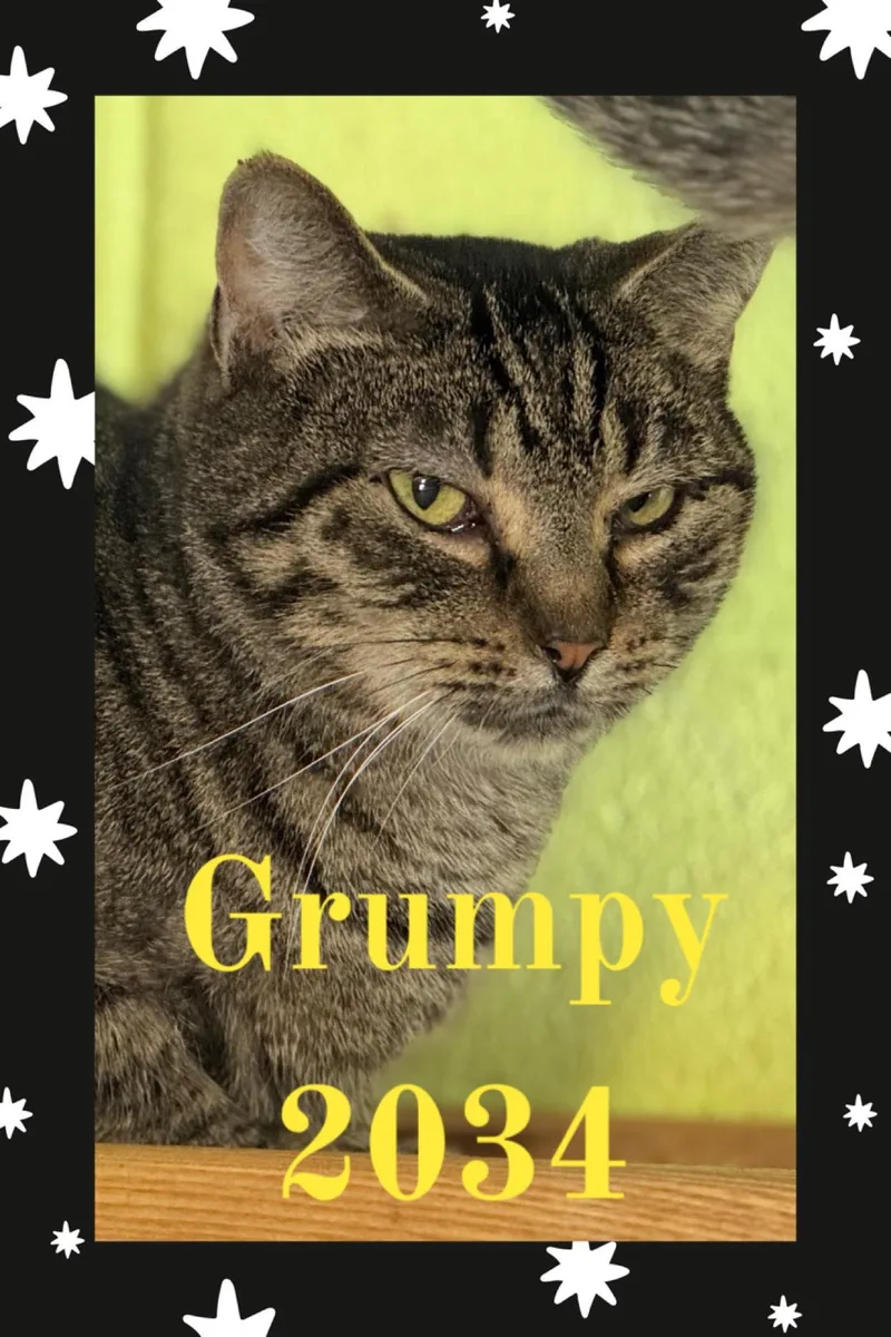 Grumpy