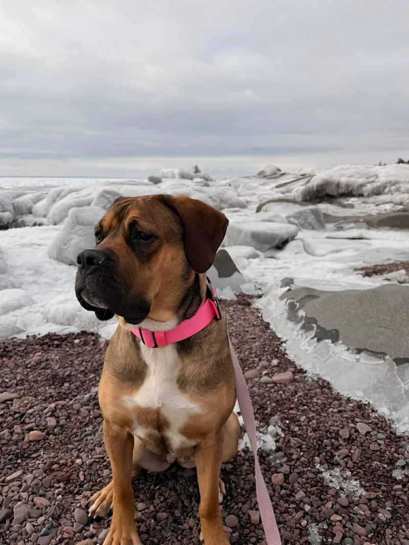 Little Foot thumbnail 2