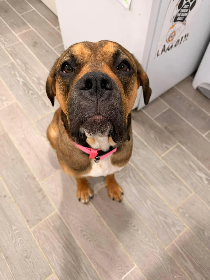 Little Foot thumbnail 3