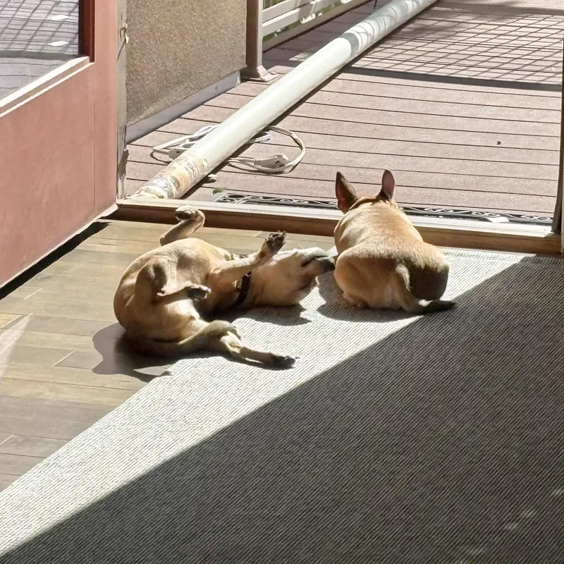 Dexter