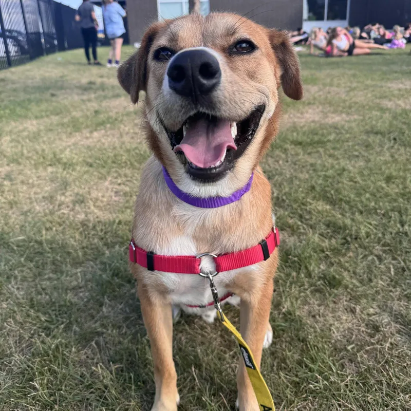 Ernie