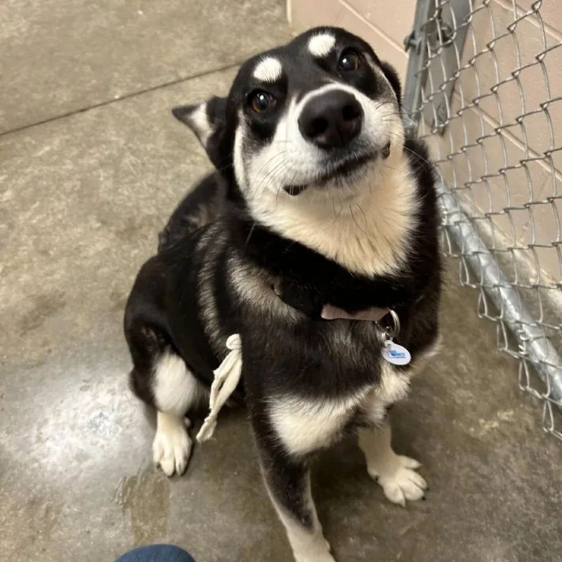 Bonnie