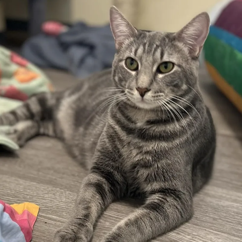 Trever  Bonded With thumbnail 2