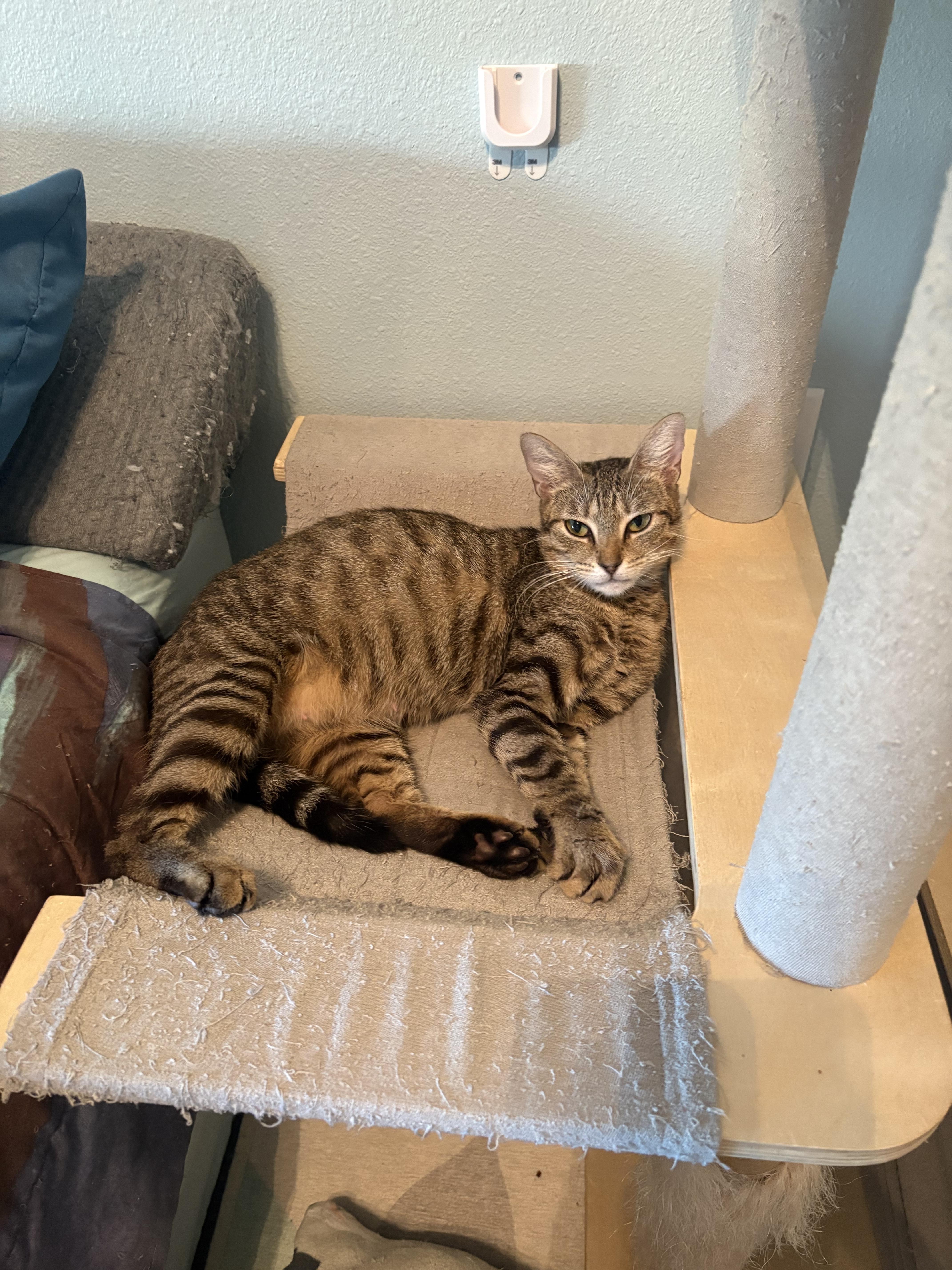 Delia Deetz thumbnail 3