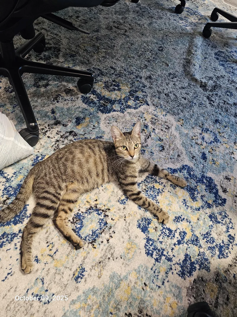 Delia Deetz thumbnail 5