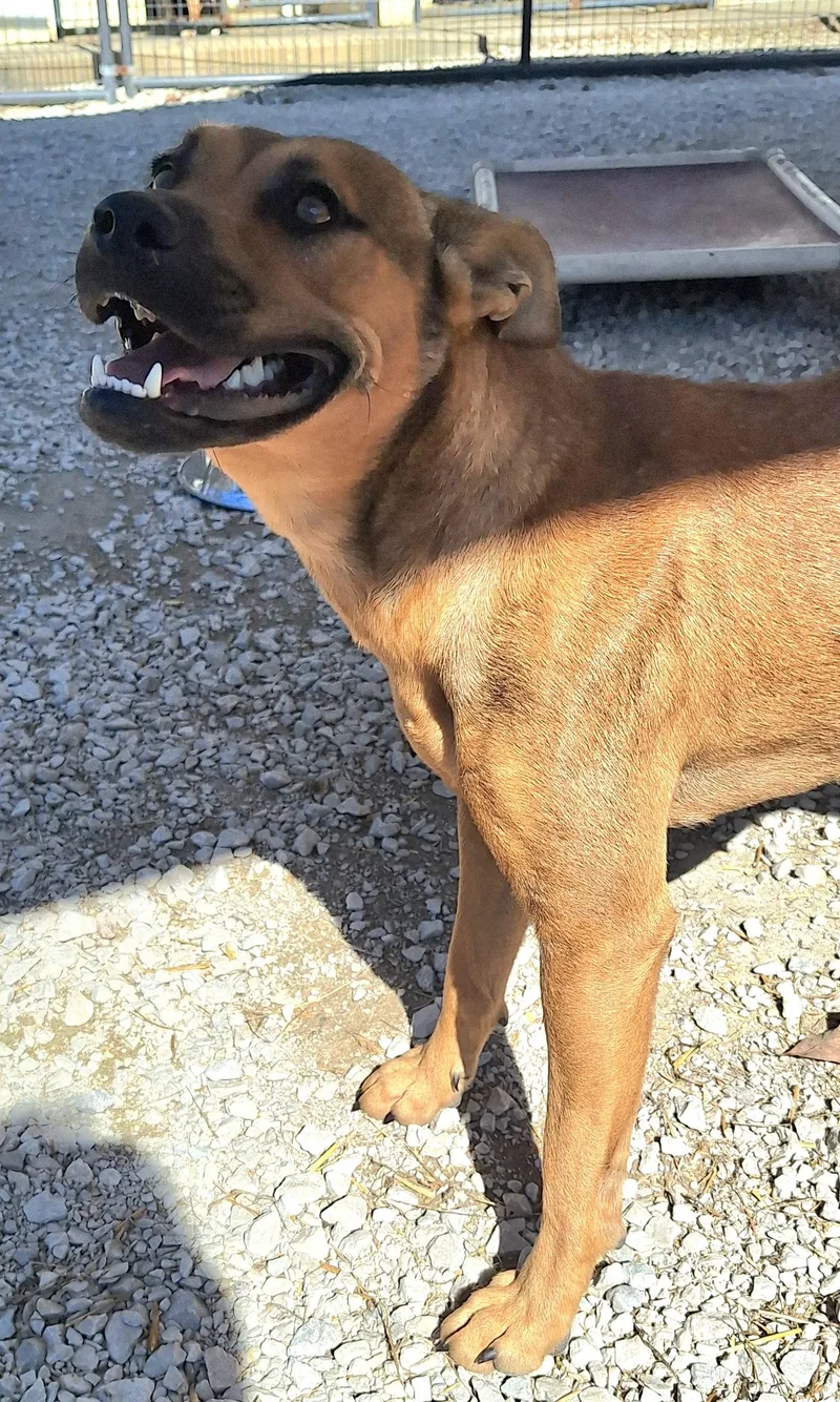 Ronnahas underbite thumbnail 2