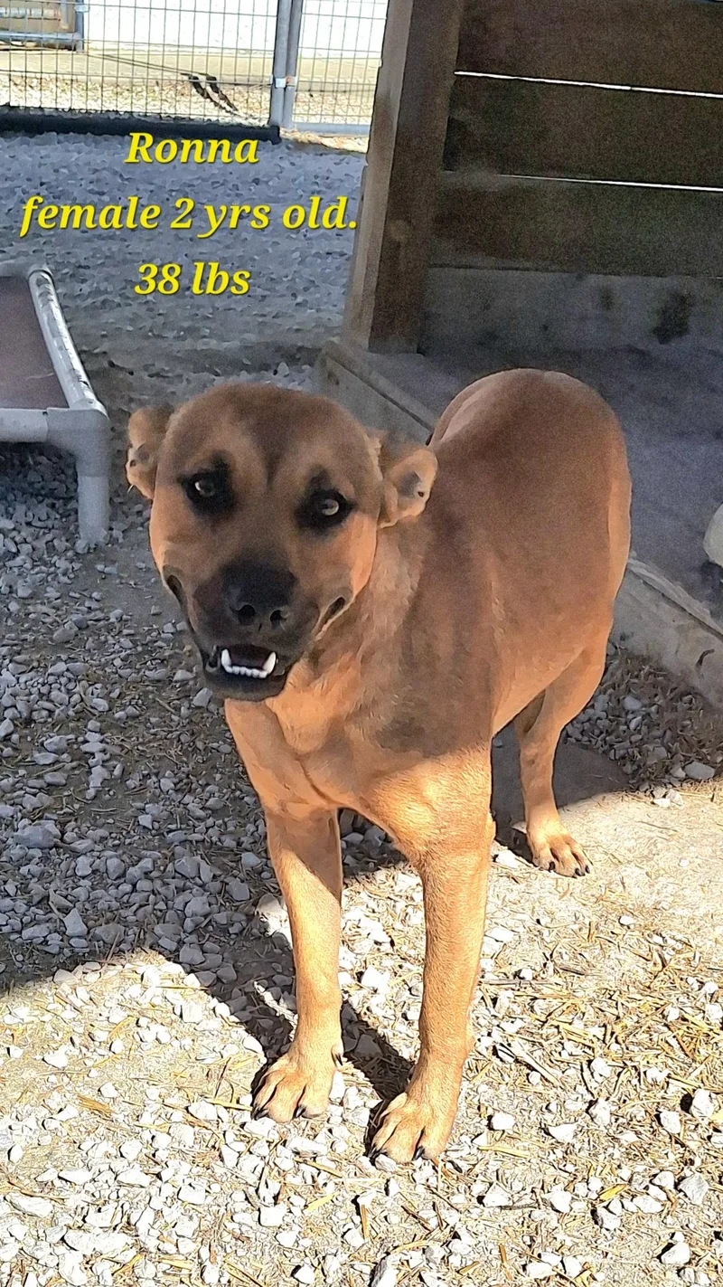 Ronnahas underbite thumbnail 4
